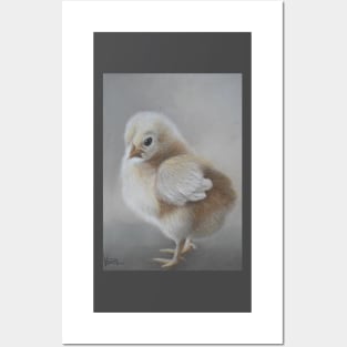 Baby Chick Posters and Art